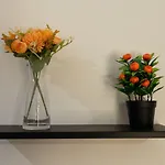 ベッド・アンド・ブレックファスト Sunset House バレストラーテ